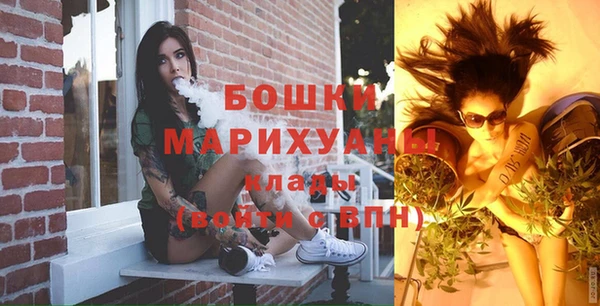 PSILOCYBIN Алзамай