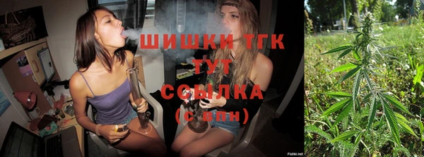 apvp Карпинск