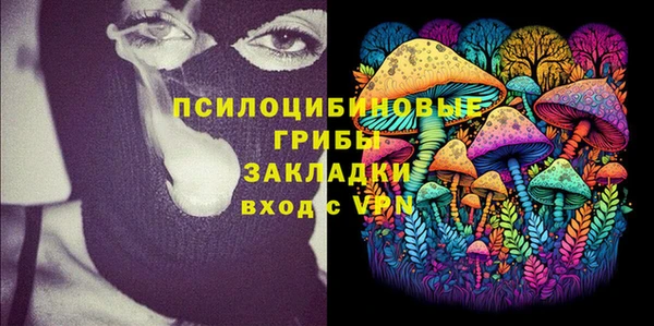 герыч Алексин