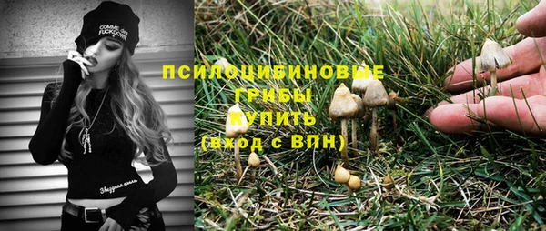 PSILOCYBIN Алзамай