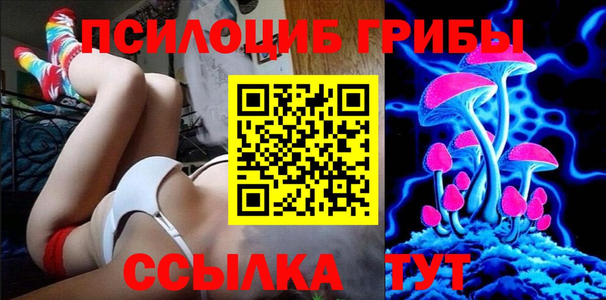 Псилоцибиновые грибы GOLDEN TEACHER Раменское