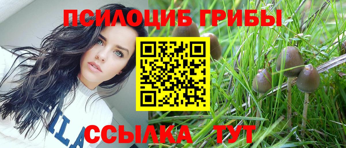 Раменское  Псилоцибиновые грибы MAGIC MUSHROOMS  Вход с VPN 
